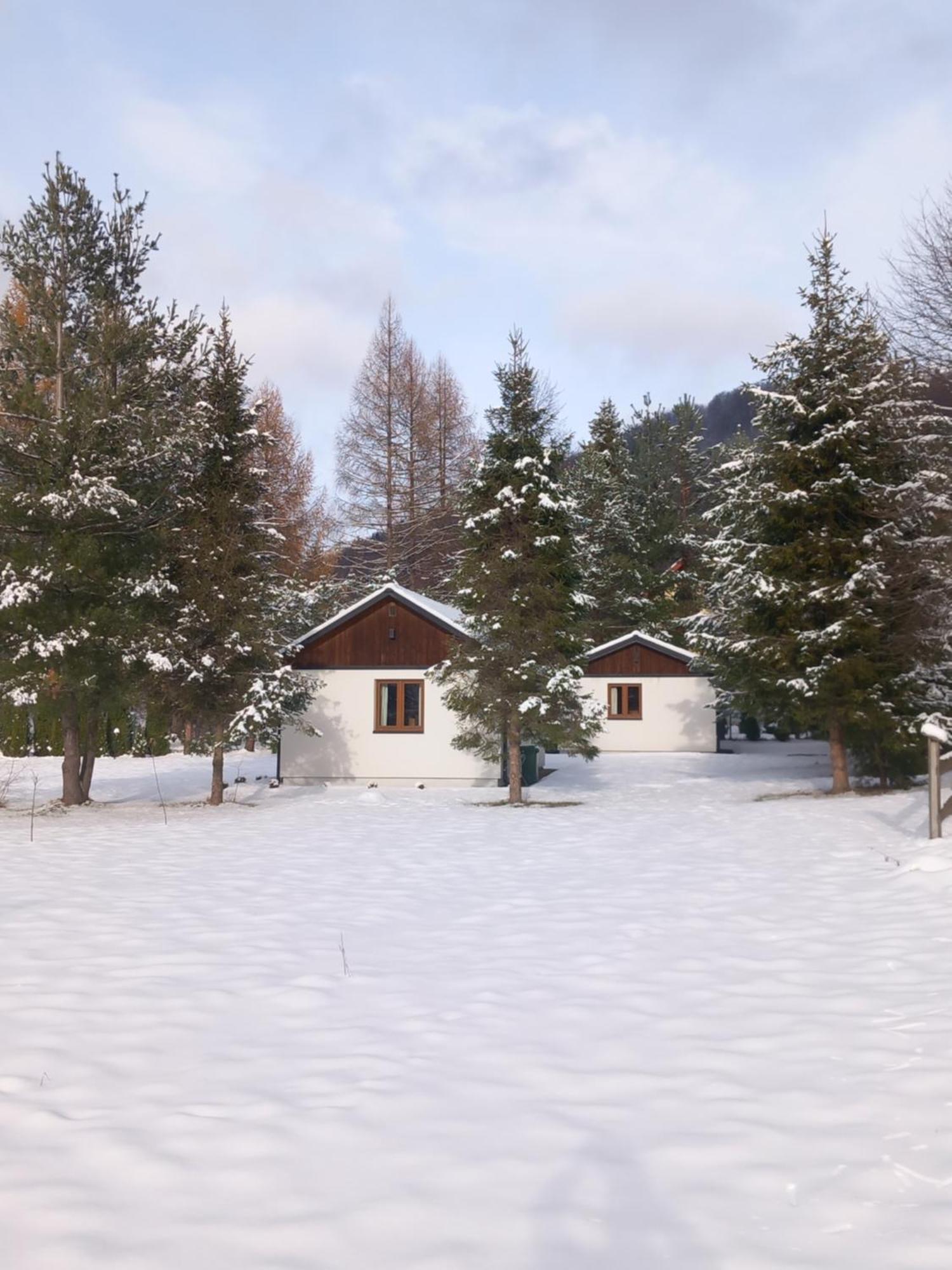 Chatki Lesniczego Bukowiec  Exteriör bild