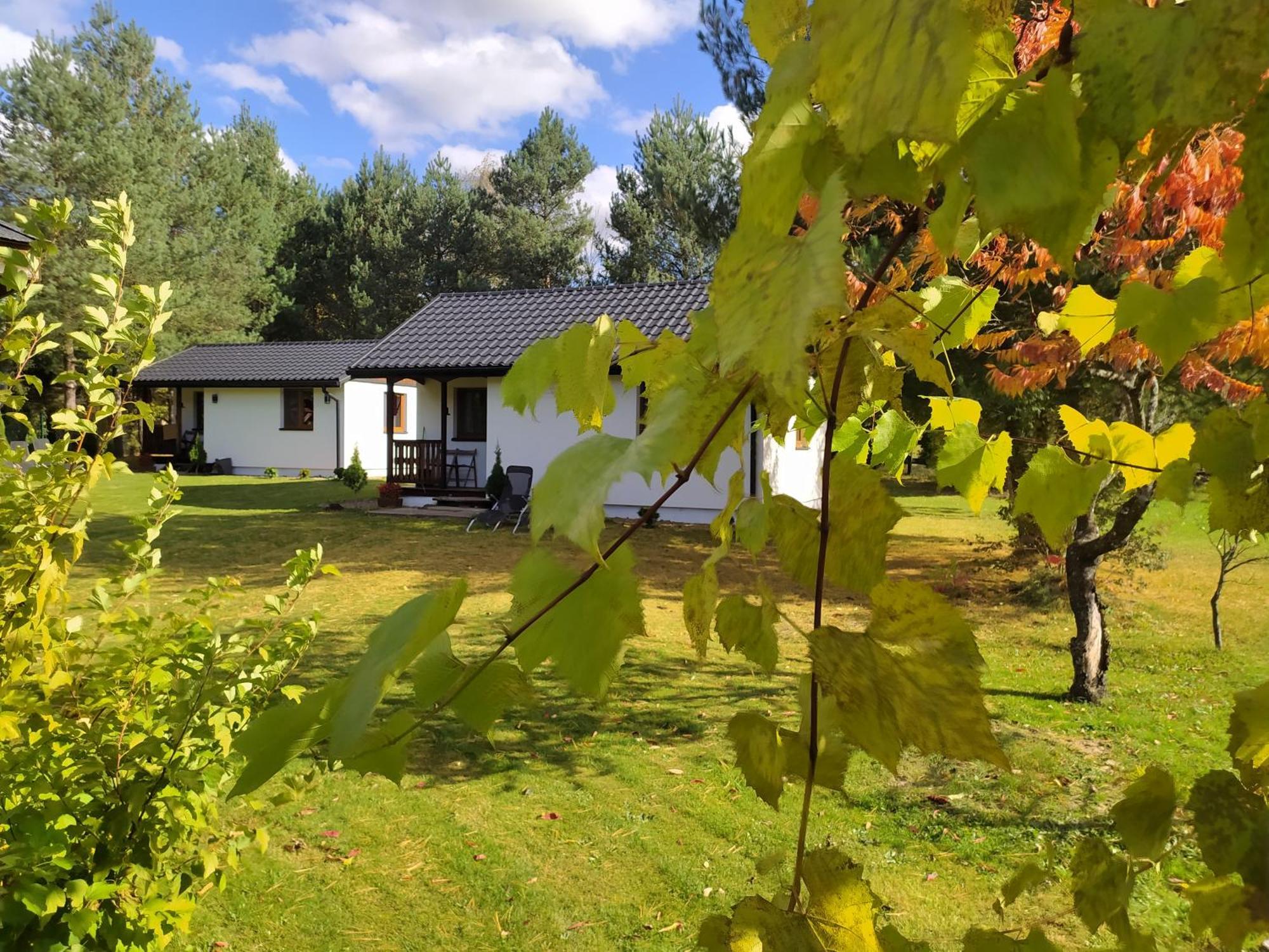 Chatki Lesniczego Bukowiec  Exteriör bild